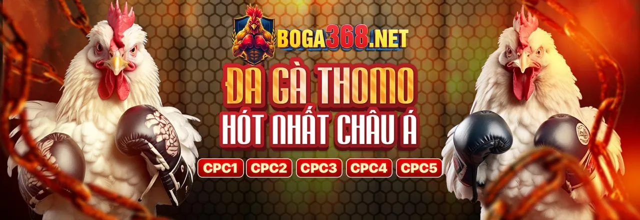 Hình ảnh chính về trải nghiệm tối ưu tại tải 999aog